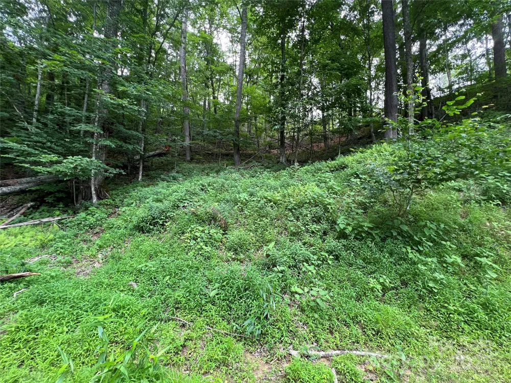 0 CHESTNUT LANE #Lot 84 Mars Hill, NC 28754