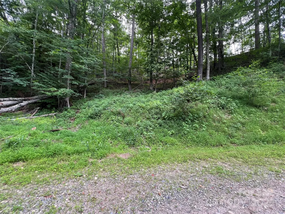 0 CHESTNUT LANE #Lot 84 Mars Hill, NC 28754