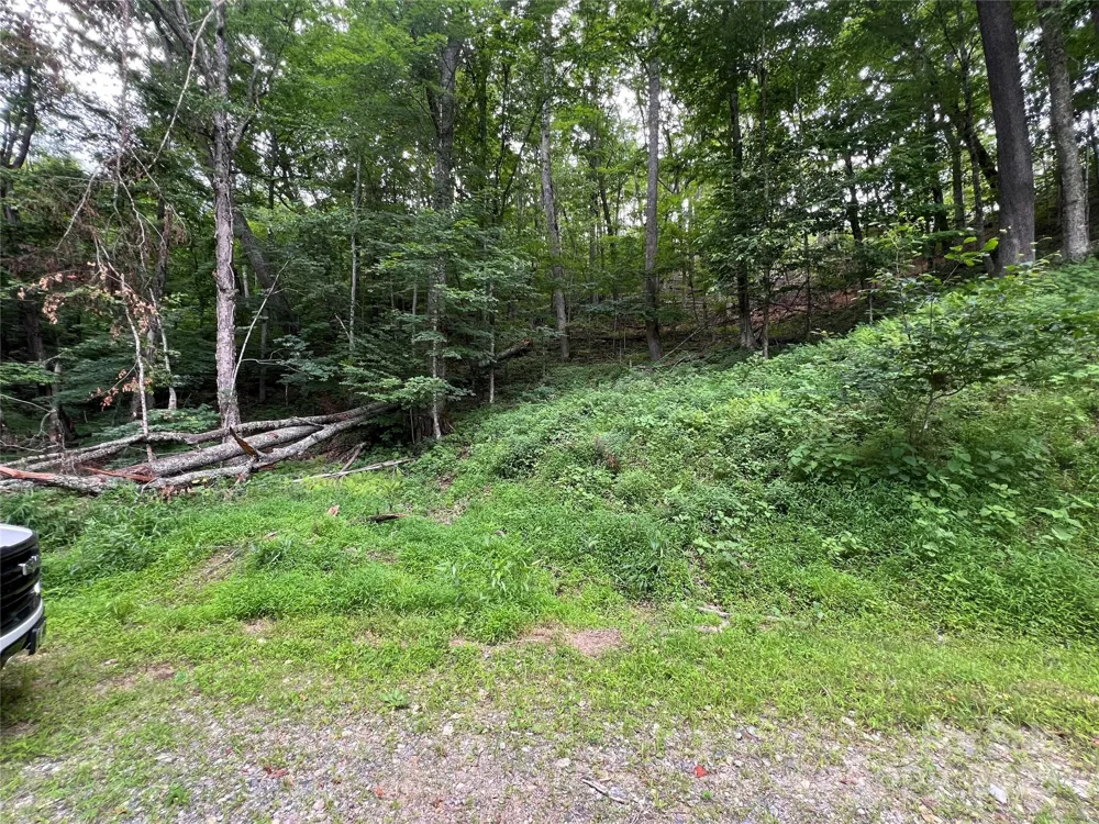 0 CHESTNUT LANE #Lot 84 Mars Hill, NC 28754