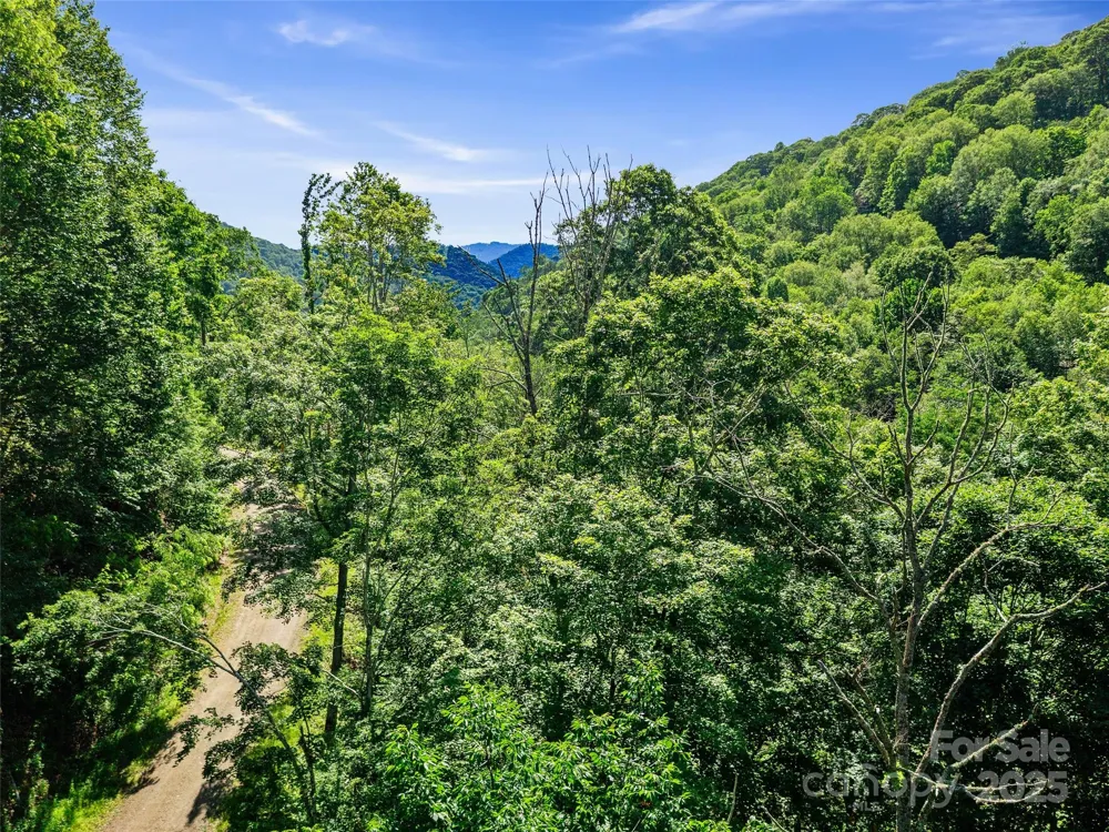 0 CHESTNUT LANE #Lot 84 Mars Hill, NC 28754