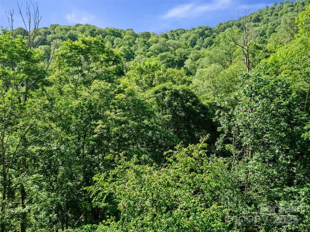 0 CHESTNUT LANE #Lot 84 Mars Hill, NC 28754