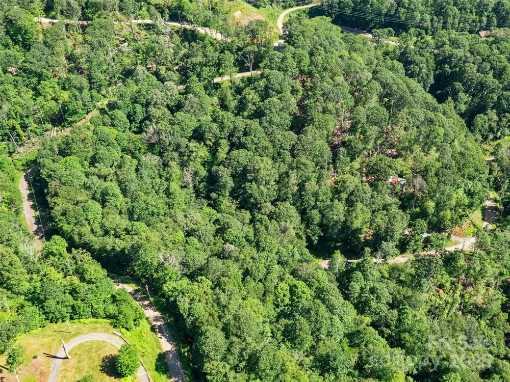 0 CHESTNUT LANE #Lot 84 Mars Hill, NC 28754