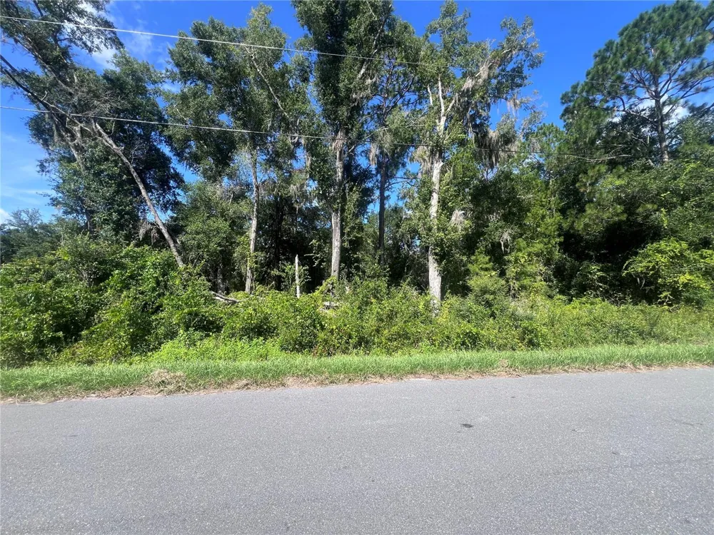 TBD LOCUST COURSE RADIAL LOT 20 ocala, FL 34472