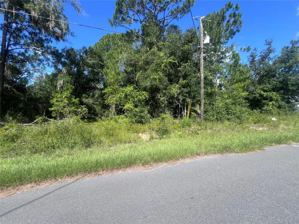 TBD LOCUST COURSE RADIAL LOT 20 ocala, FL 34472