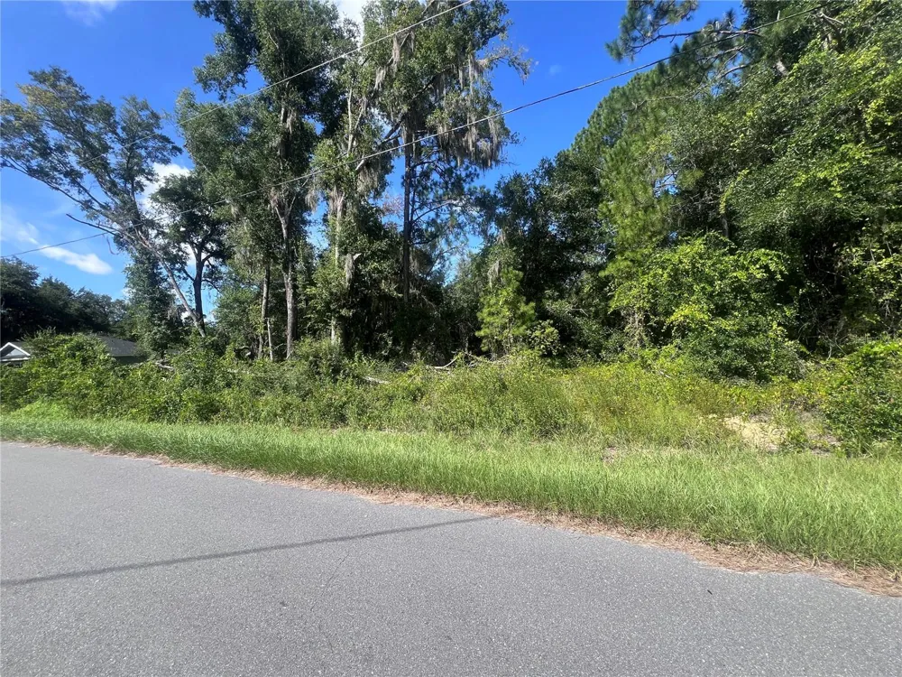 TBD LOCUST COURSE RADIAL LOT 20 ocala, FL 34472