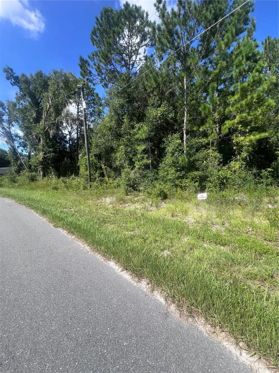 TBD LOCUST COURSE RADIAL LOT 20 ocala, FL 34472