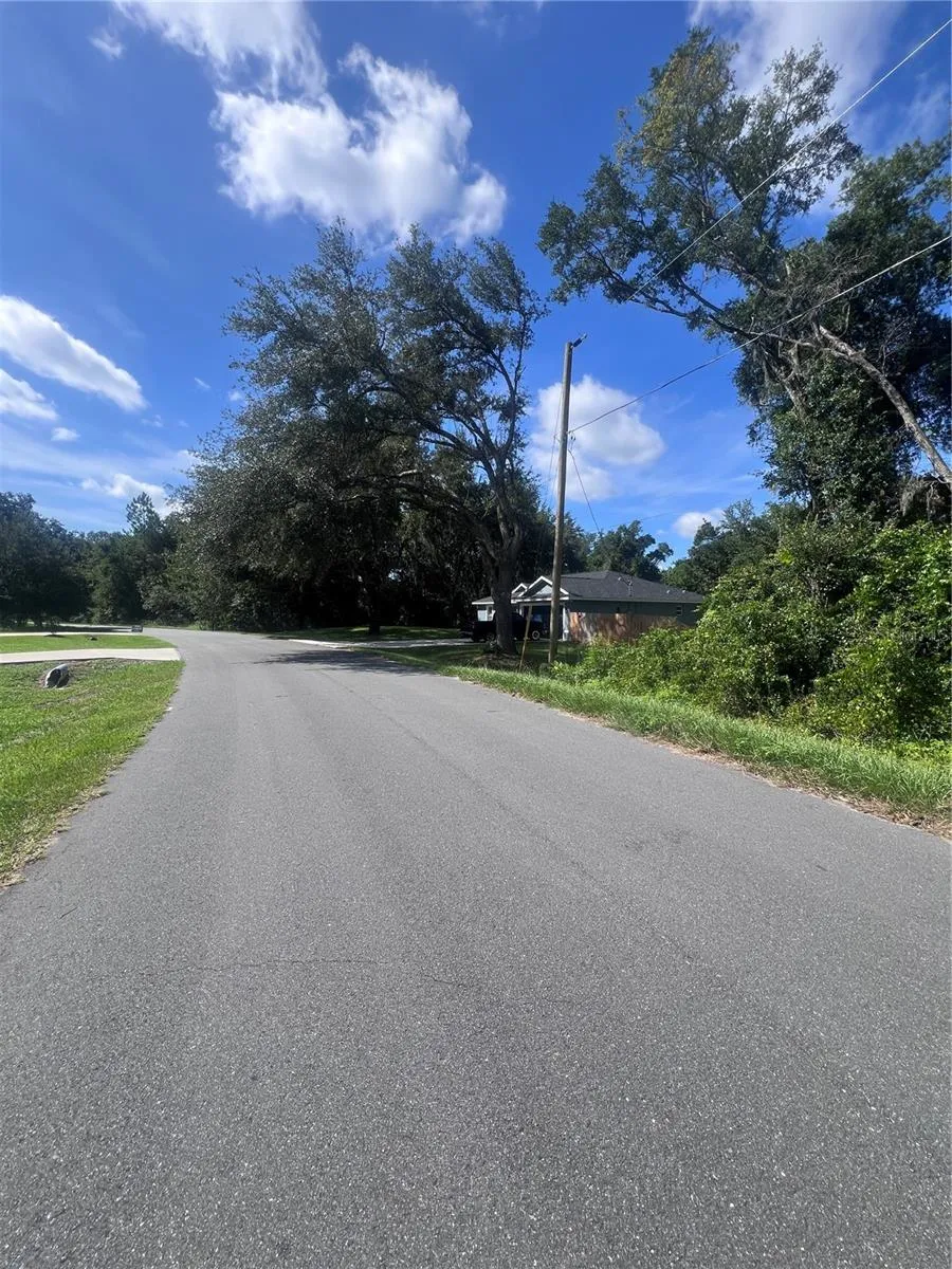 TBD LOCUST COURSE RADIAL LOT 20 ocala, FL 34472