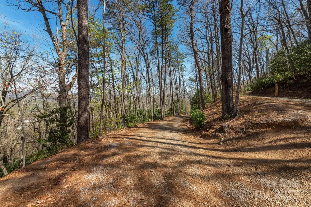 99999 Sunset Drive Black Mountain, NC 28711