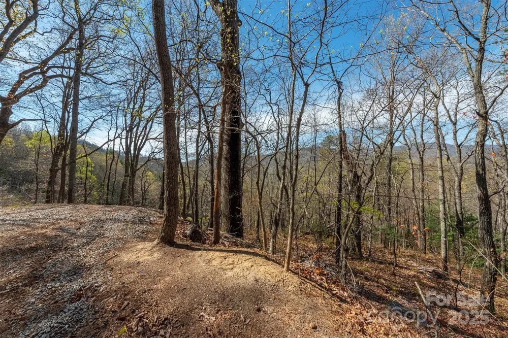 99999 Sunset Drive Black Mountain, NC 28711