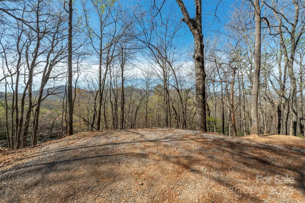 99999 Sunset Drive Black Mountain, NC 28711