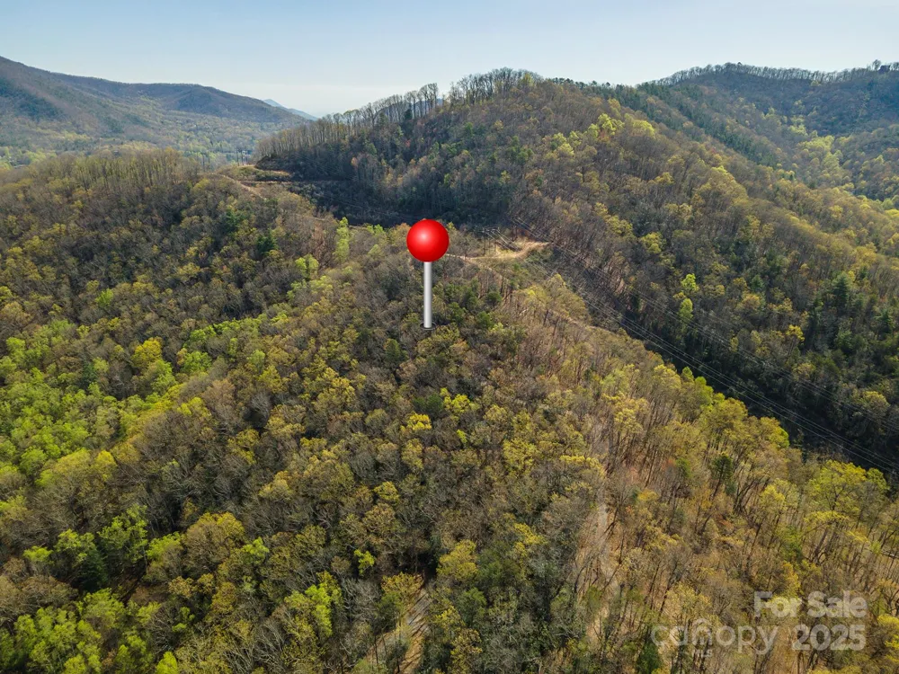 99999 Sunset Drive Black Mountain, NC 28711
