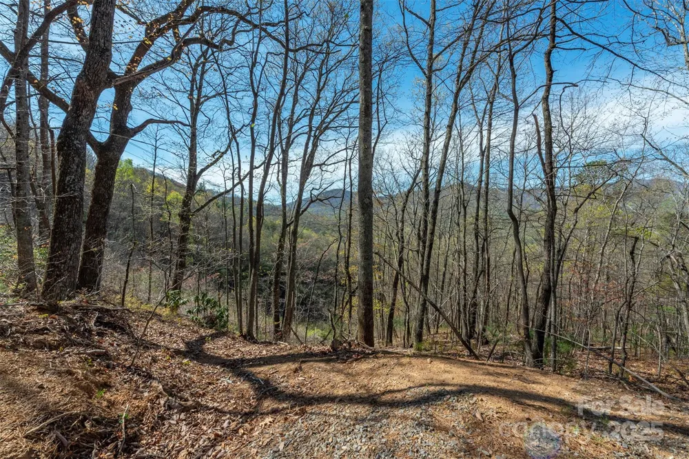 99999 Sunset Drive Black Mountain, NC 28711