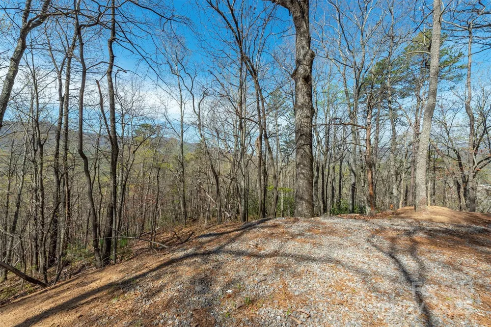 99999 Sunset Drive Black Mountain, NC 28711