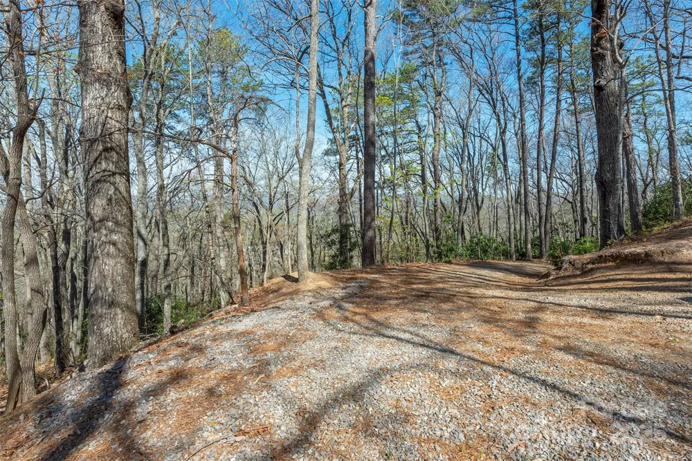 99999 Sunset Drive Black Mountain, NC 28711