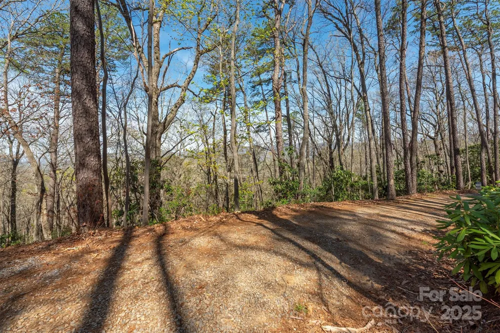 99999 Sunset Drive Black Mountain, NC 28711