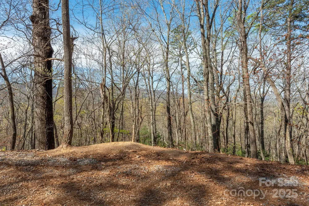 99999 Sunset Drive Black Mountain, NC 28711