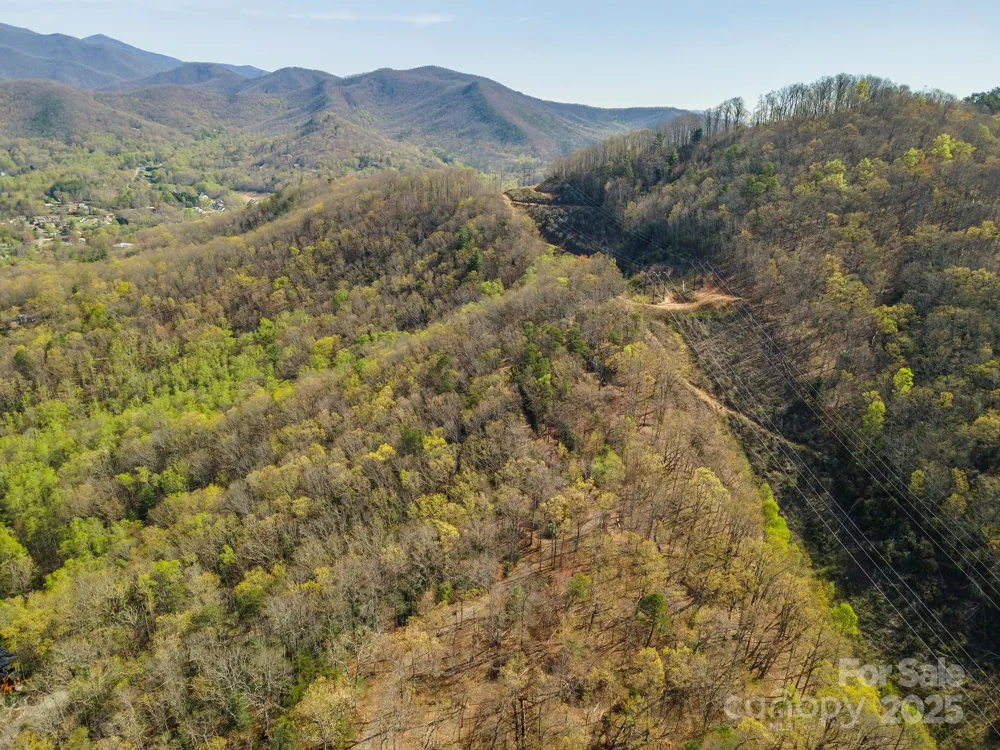 99999 Sunset Drive Black Mountain, NC 28711