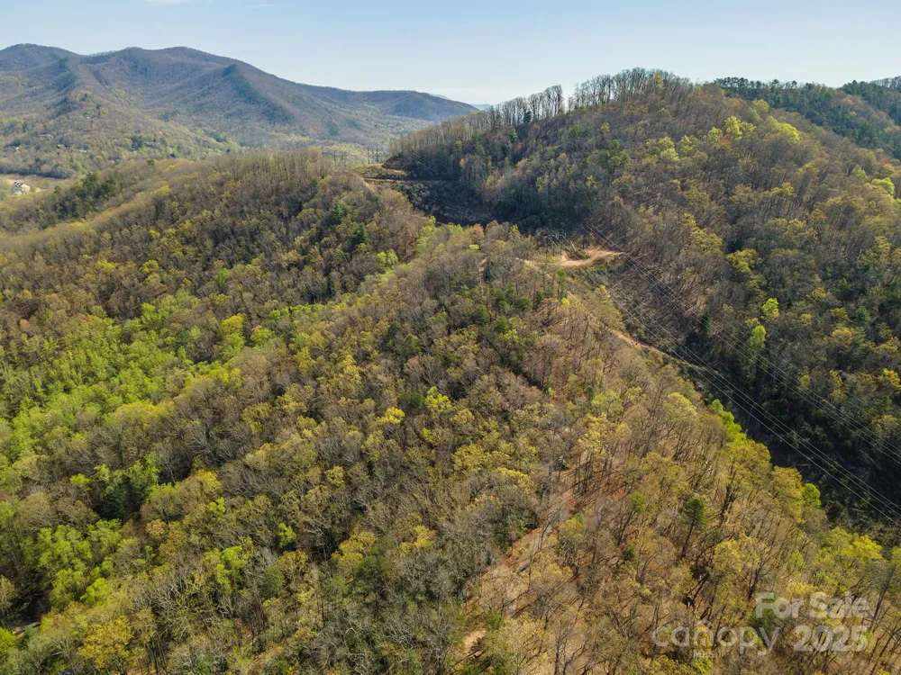 99999 Sunset Drive Black Mountain, NC 28711