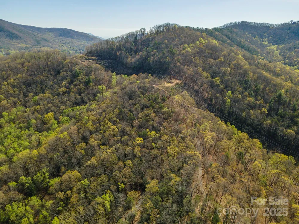 99999 Sunset Drive Black Mountain, NC 28711