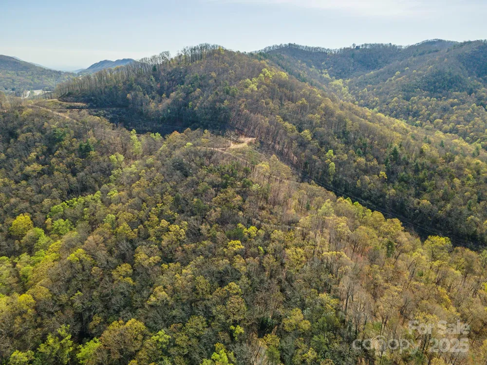 99999 Sunset Drive Black Mountain, NC 28711