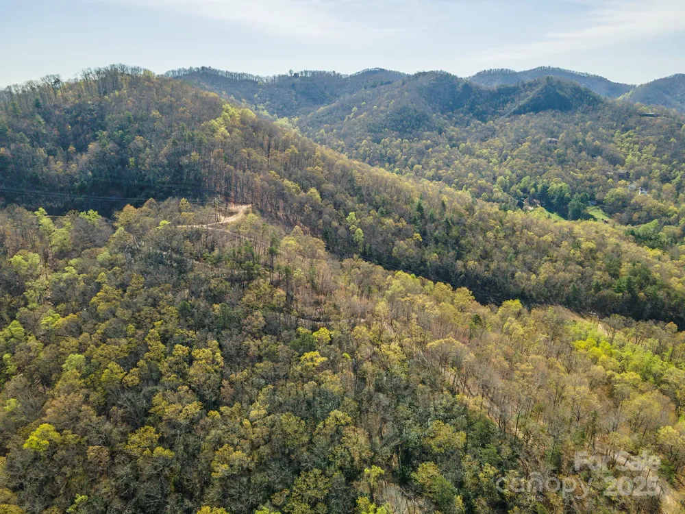 99999 Sunset Drive Black Mountain, NC 28711
