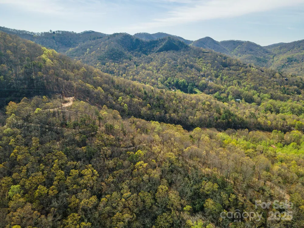 99999 Sunset Drive Black Mountain, NC 28711