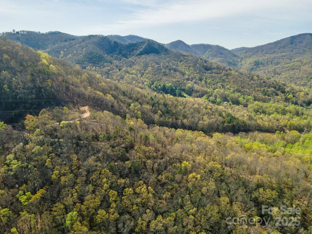 99999 Sunset Drive Black Mountain, NC 28711
