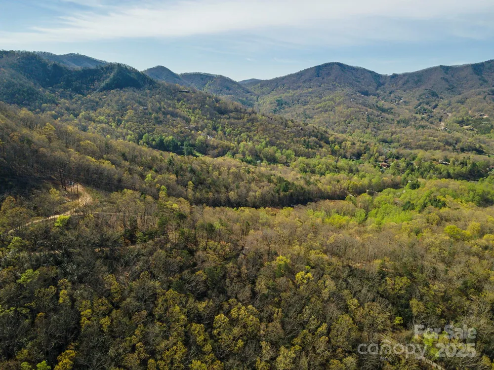 99999 Sunset Drive Black Mountain, NC 28711