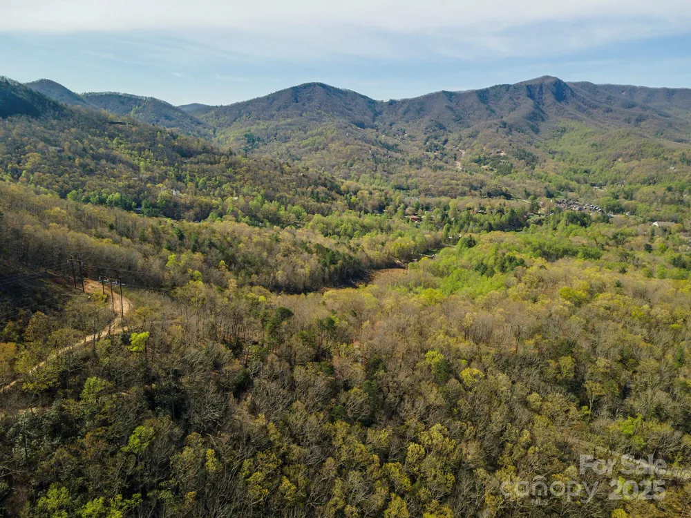 99999 Sunset Drive Black Mountain, NC 28711