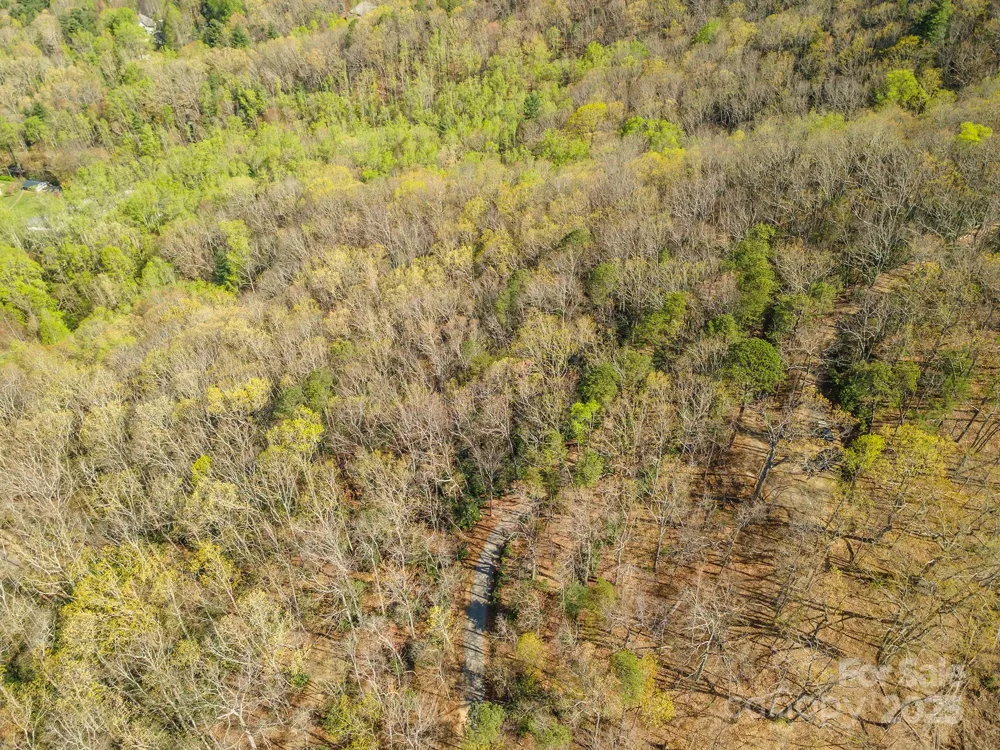 99999 Sunset Drive Black Mountain, NC 28711
