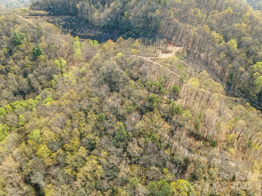 99999 Sunset Drive Black Mountain, NC 28711