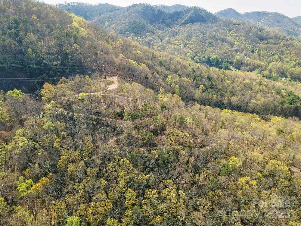 99999 Sunset Drive Black Mountain, NC 28711