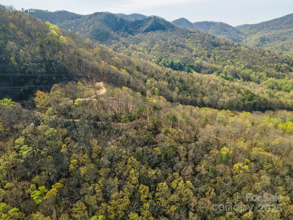 99999 Sunset Drive Black Mountain, NC 28711