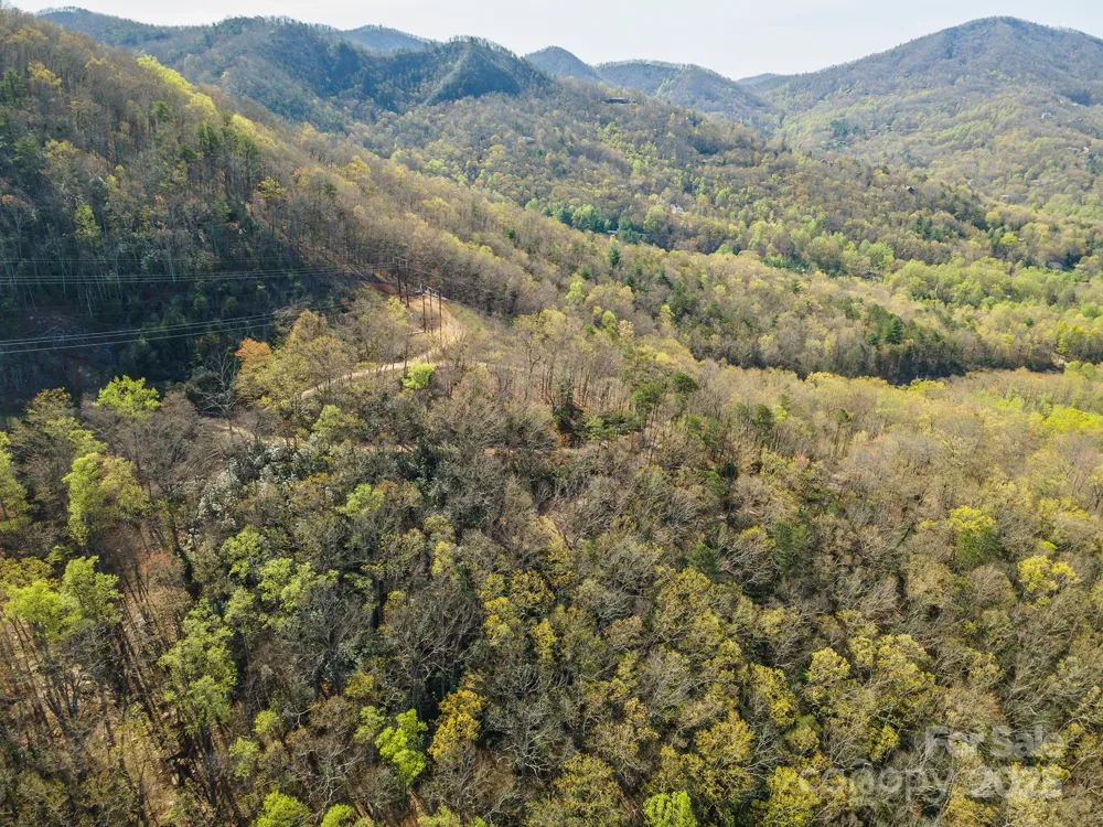 99999 Sunset Drive Black Mountain, NC 28711