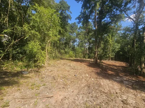 470 Forrest Drive