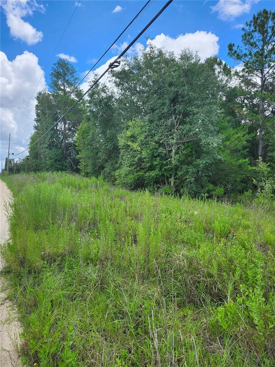 7649 CASA GRANDE Keystone Heights, FL 32656