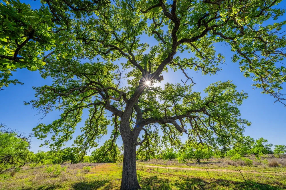 5230 County Road 409 Valley Spring, TX 76885