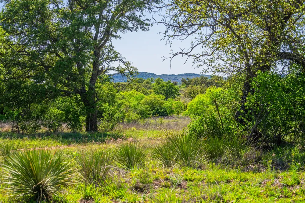 5230 County Road 409 Valley Spring, TX 76885