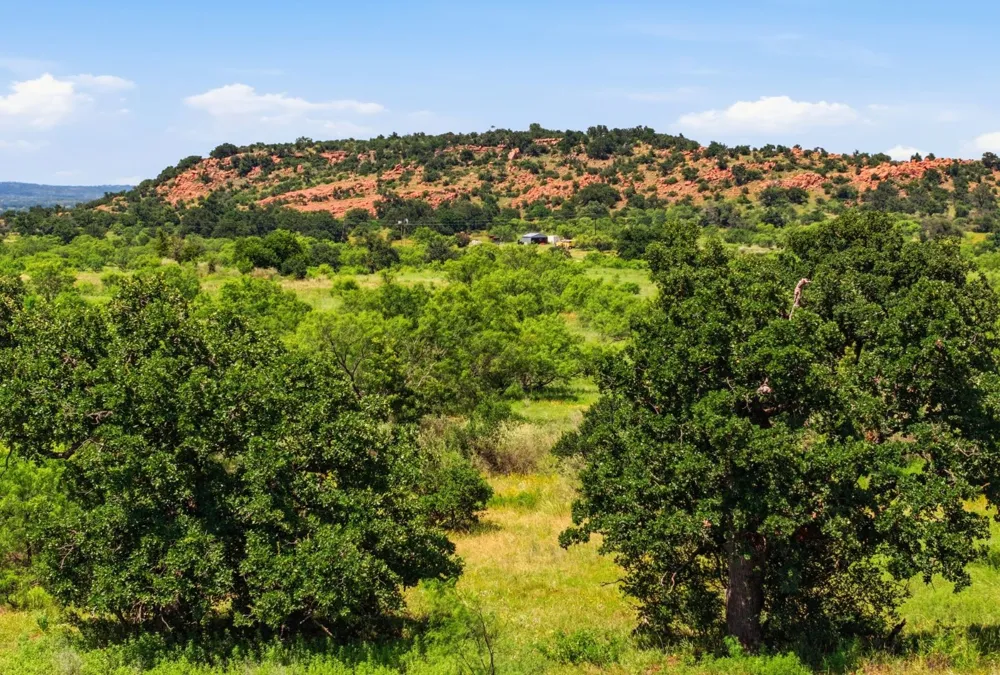 5230 County Road 409 Valley Spring, TX 76885
