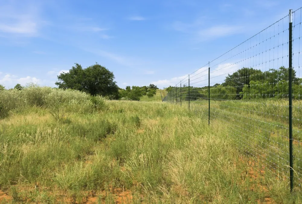 5230 County Road 409 Valley Spring, TX 76885