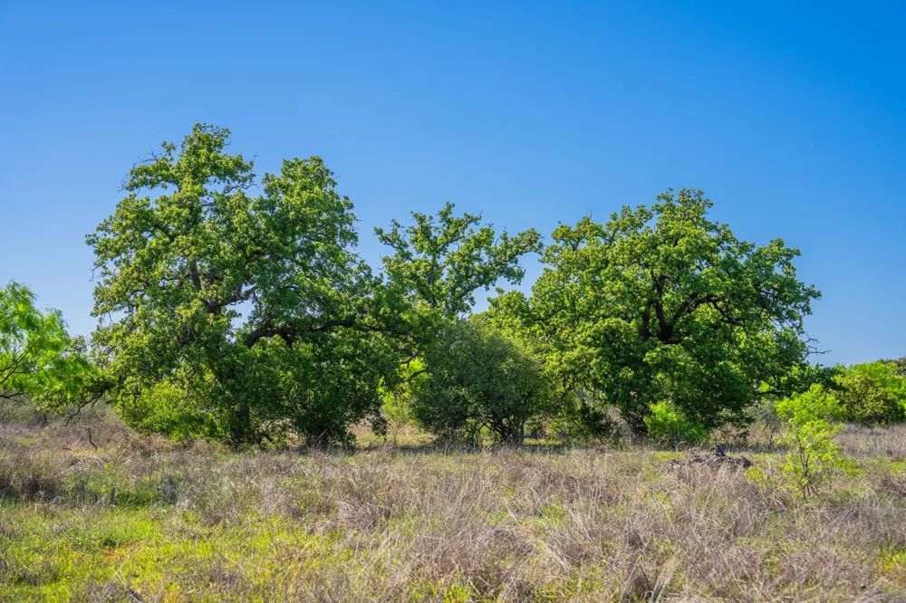 5230 County Road 409 Valley Spring, TX 76885