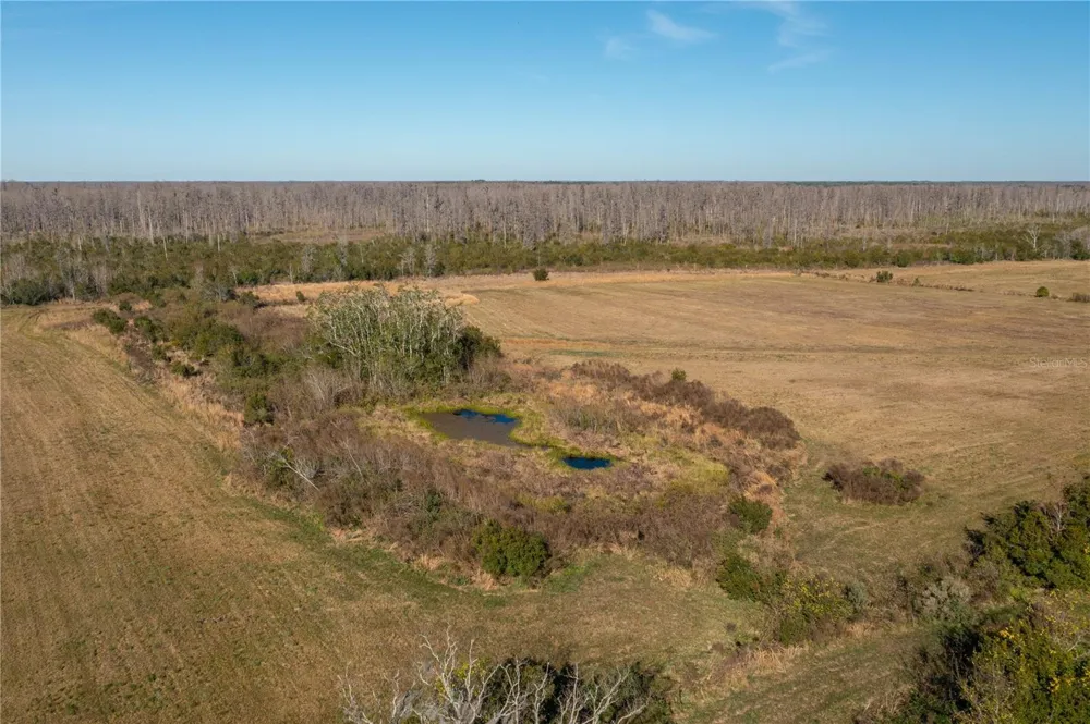 601 DIAMOND ACRES ROAD Davenport, FL 33837