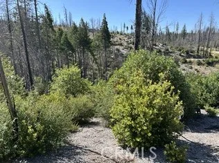 Oak Drive Berry Creek, CA 95916