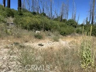 Oak Drive Berry Creek, CA 95916
