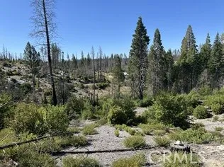 Oak Drive Berry Creek, CA 95916
