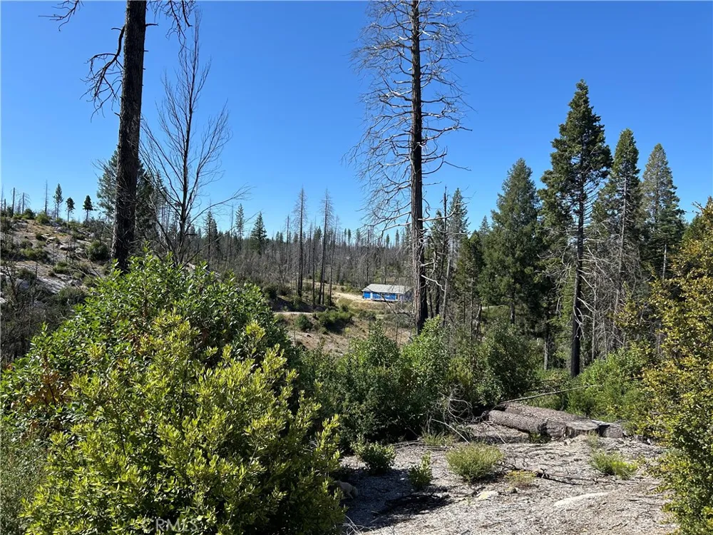 Oak Drive Berry Creek, CA 95916