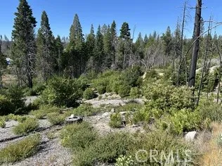 Oak Drive Berry Creek, CA 95916