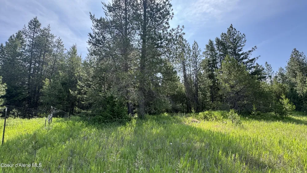 600 ROCK SPRINGS ROAD Athol, ID 83801