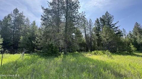 600 ROCK SPRINGS ROAD