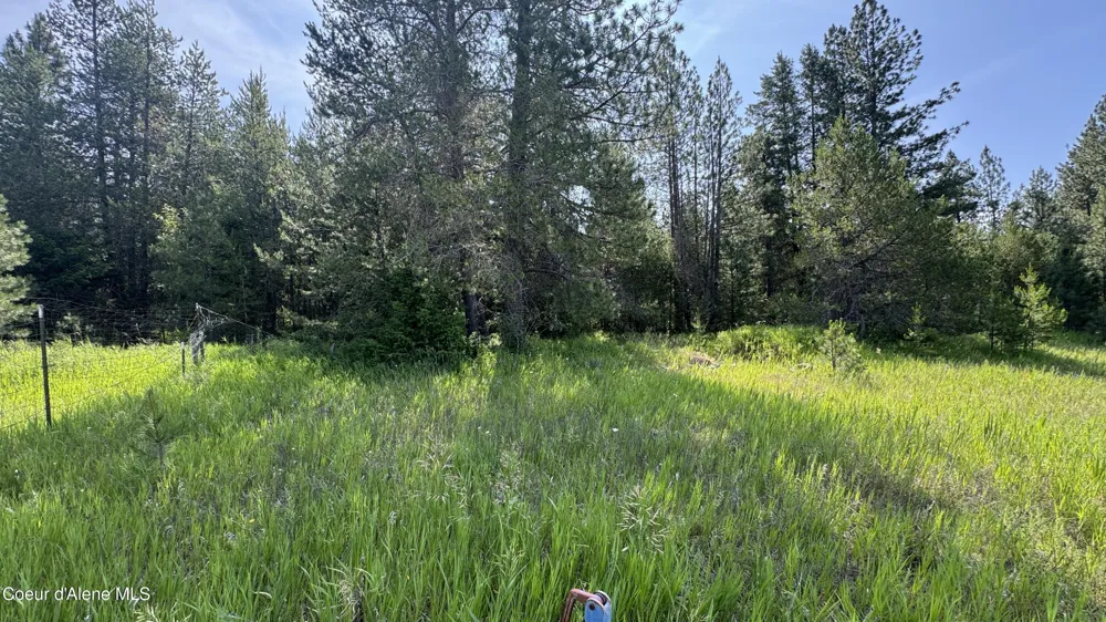 600 ROCK SPRINGS ROAD Athol, ID 83801
